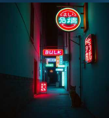 Echoes in the alley Echoes in the alley