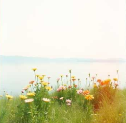 Enjoy this day Enjoy this day