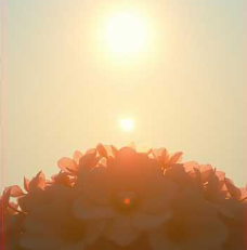 The heart you hold The heart you hold